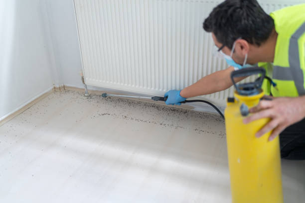 Best Pest Removal Services  in Greendale, IN